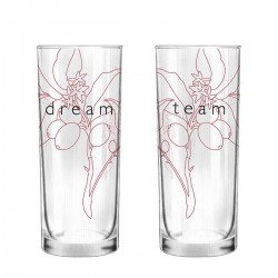 "Dream Team" Set/2 Glass
