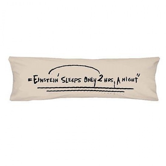 Einstein Office Pillow